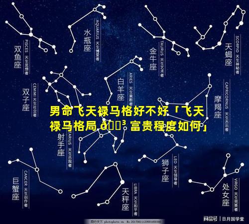 男命飞天禄马格好不好「飞天禄马格局 🌳 富贵程度如何」